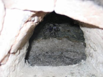 31. The stoke hole showing ash in the interior.