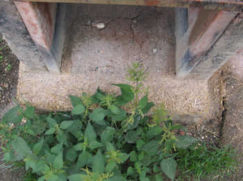 8. The floor of the annealing oven.