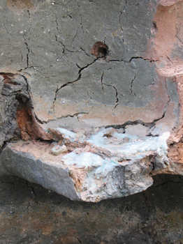 8. Detail of the broken tank.