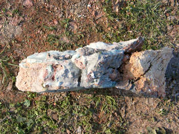 28. The floor of the tank in cross-section showing that the glass has penetrated through the floor.