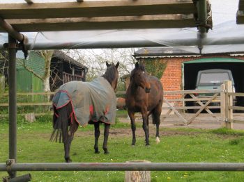 13. We are getting on well with the neighbours!