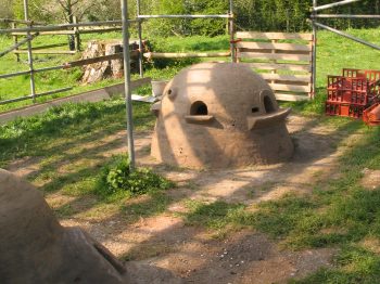 16. View diagonally across the shelter.