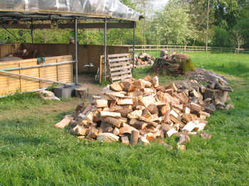 10. The first piles of lumpwood.