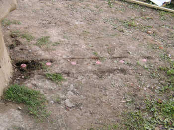 2. Marking out the line of the trench.