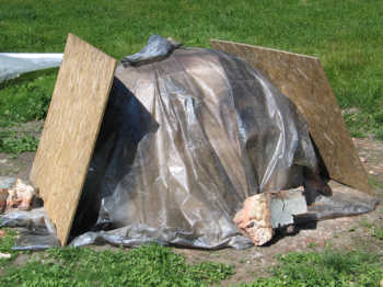 2. June 2005: temporary covering after removing the shelter.