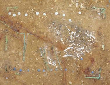 The gaming board and its counters from the Doctor's Grave, Colchester