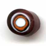 Floret with concentric ring pattern