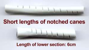 Lengths of notched canes