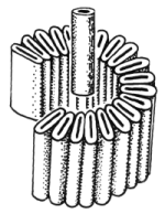 Strips heated and bent, with central rod being added