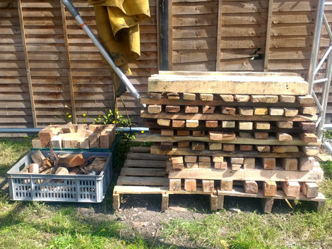 The first load of timber