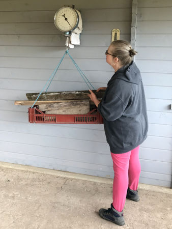  Fiona using the scales