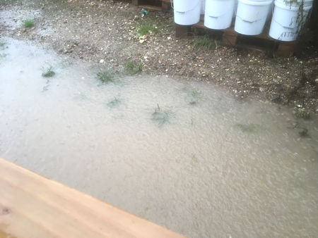 The second flood: water outside the shelter. The butyl rubber is doing its job in holding back the water. (Photo © Fiona Rashleigh)