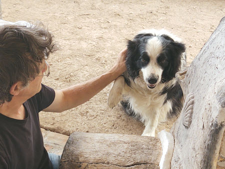 Phoebe lends a paw!