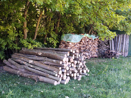 The first load of Sycamore