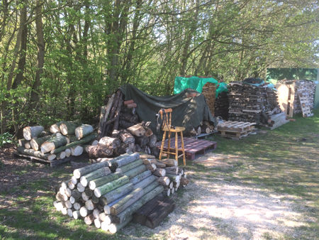 Timber to be processed (Photo © Steve Wagstaff)