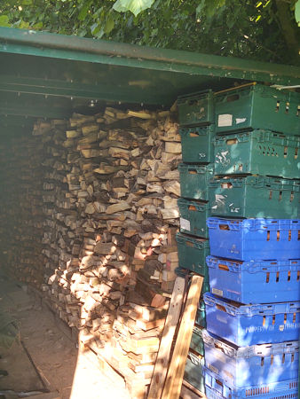 Sycamore and Chestnut in the green container