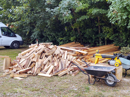 Oak ready for splitting