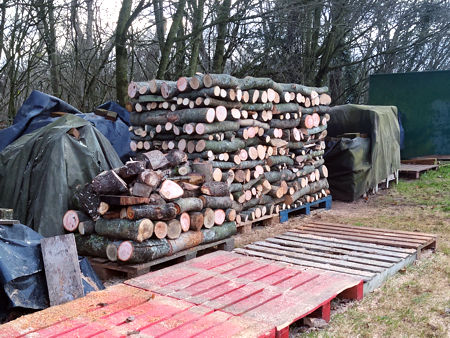 The first tornado-damaged timber ready for splitting