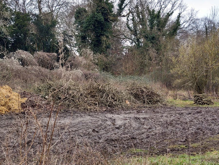 The bonfire area - another useful source of wood!