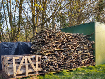 Ash and Beech stacked for seasoning