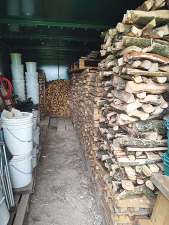 Opepe, Oak and Chestnut in the green shed