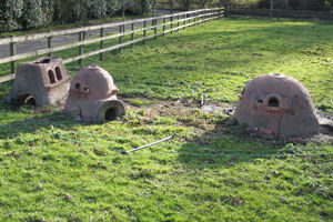11th December 2007